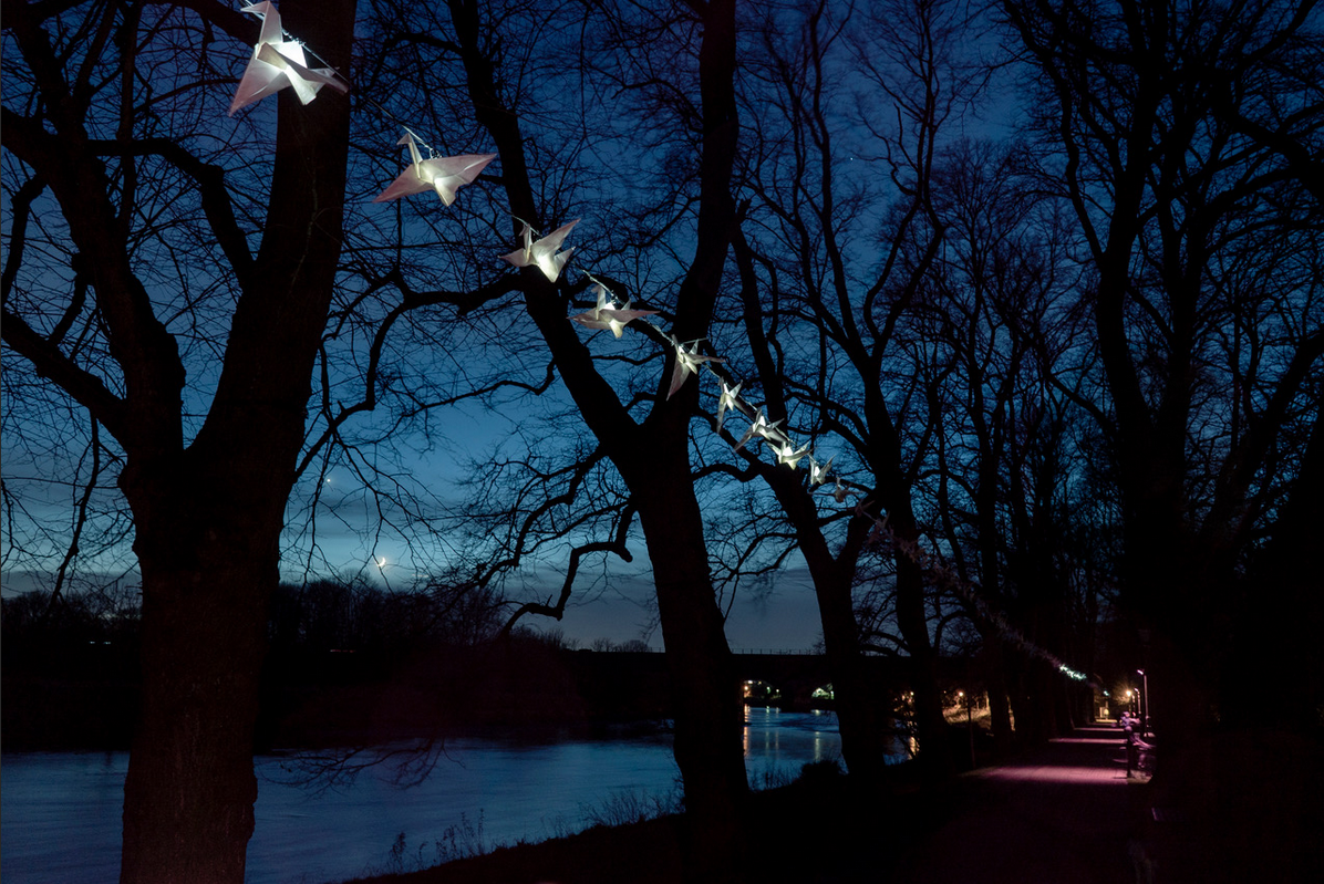 Luminous Birds - Kathy Hinde